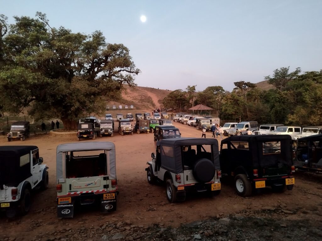 All Jeeps Gathered for Jeep Safari